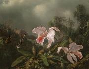 Martin Johnson Heade Jungle Orchids and Hummingbirds oil painting artist